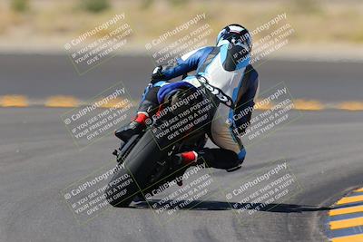 media/Oct-08-2022-SoCal Trackdays (Sat) [[1fc3beec89]]/Turn 11 Backside (1145am)/